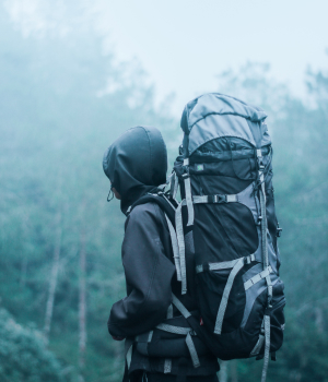 Jungle Trekking in deep forest of ansi karnataka