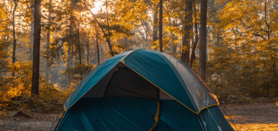 camping tent in deep forest 